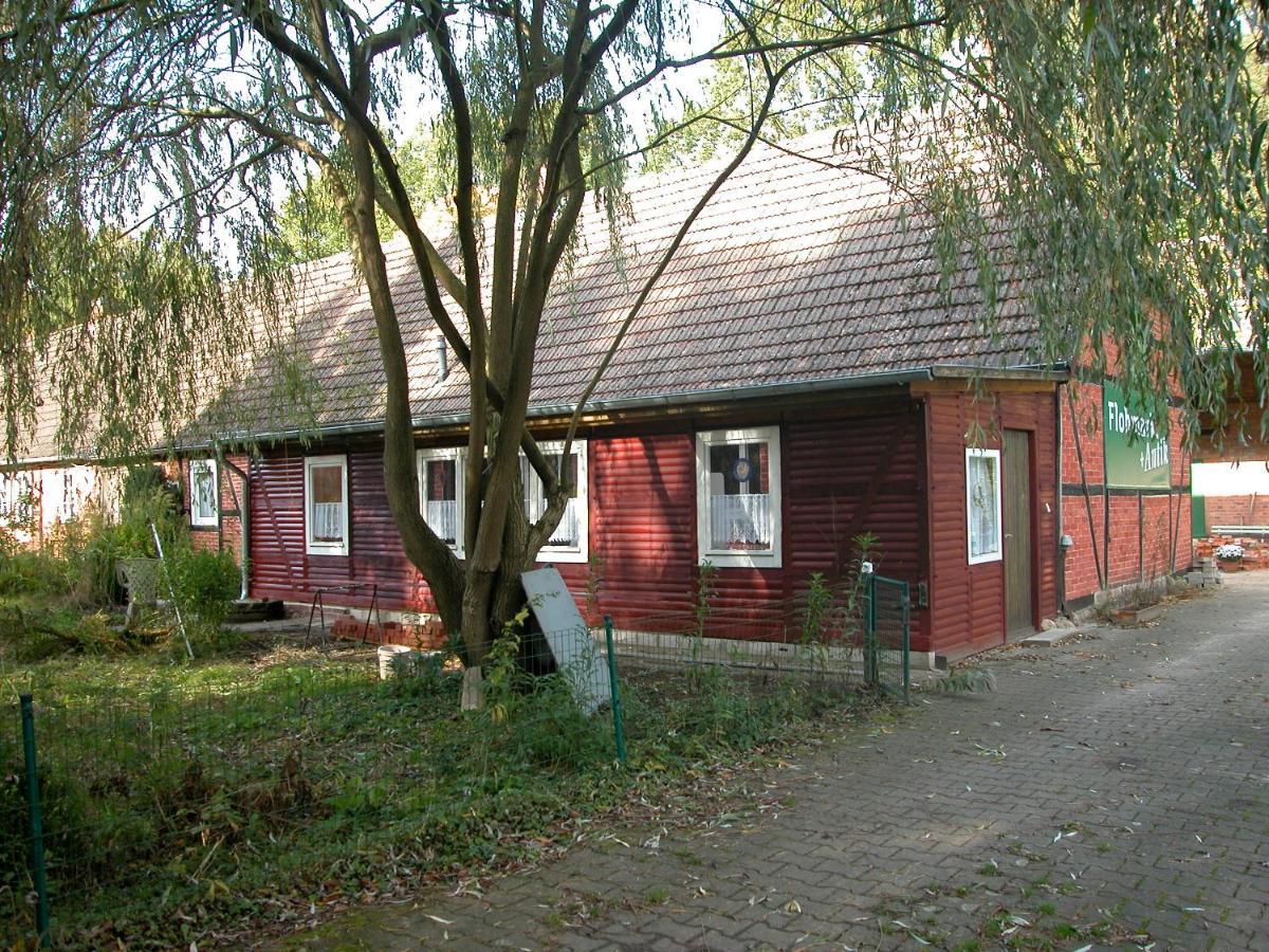 Ferienwohnung Zeitenhof Suderburg المظهر الخارجي الصورة