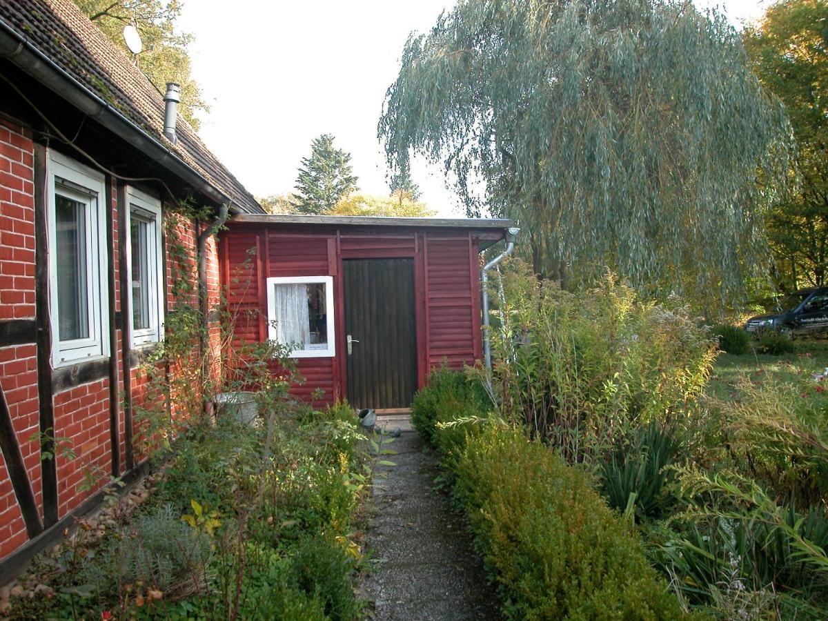 Ferienwohnung Zeitenhof Suderburg المظهر الخارجي الصورة